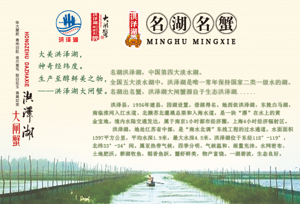 大闸蟹1